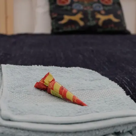 Apartment Bonjardim Flats - T1 + 1 Com Terraco